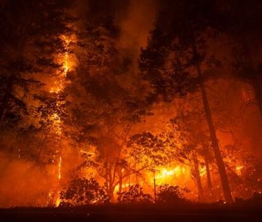 4,000 firefighters battle California's wide-ranging Park Fire | CBC News