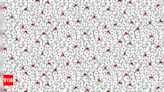 Brain teaser: Spot the dog in this sea of polar bears - Times of India