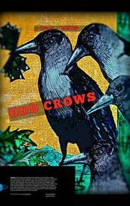 Odd Crows