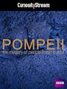 Pompeii: The Mystery of the People Frozen in Time