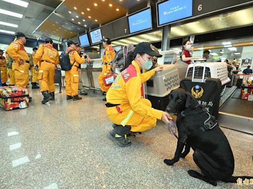 搜救犬集合！消防署人道救援包機演練 美日觀摩給建議