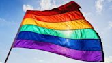 Wicklow Pride cancels disco event over 'vile accusations'