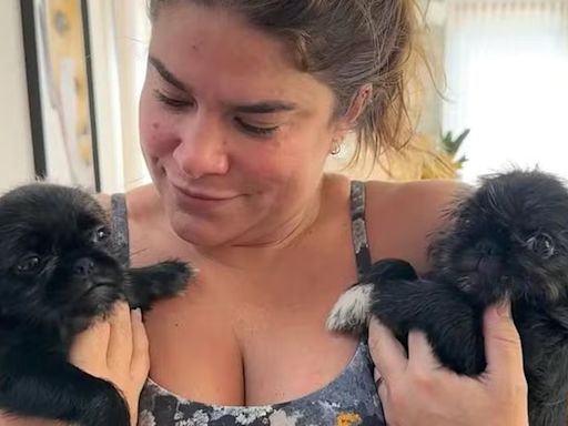 Priscila Fantin adota cães após história comovente: "Descuido"