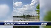 Gator grabs fish off boy’s fishing hook in Florida