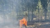 Prescribed fire on private land burns about 2 acres in Sumpter Valley