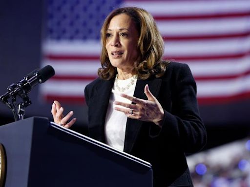 Harris gives first solo interview as Democratic nominee