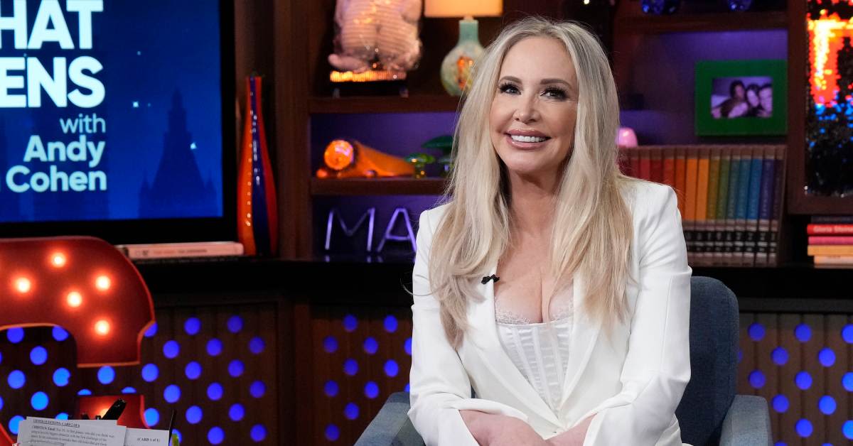 Shannon Beador's DUI Drama on 'Real Housewives of Orange County', Explained