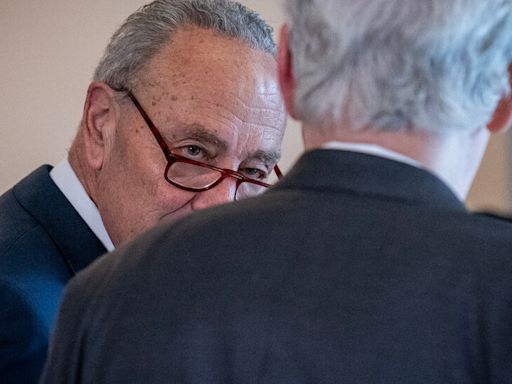 Decision Time for Chuck Schumer?