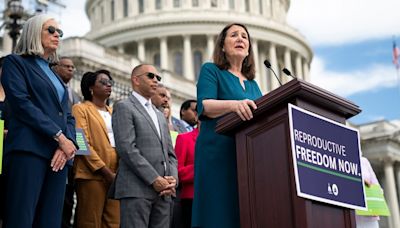 Democrats vow to make abortion protections top priority if given majority