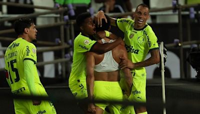 Botafogo x Palmeiras: saiba escalações prováveis e onde assistir ao vivo