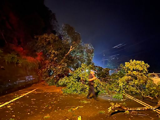 快訊／台3線苗栗大湖段因雨坍方「大量土石」滑落 現場畫面曝 | 蕃新聞