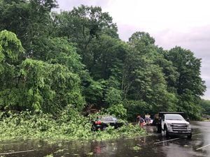 Pittsburgh Zoo & Aquarium assessing damage after EF-1 tornado touched down in Highland Park