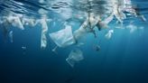 ¿El plástico biodegradable es real?