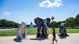 Why massive animal sculptures will soon be popping up on the National Mall