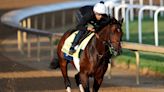 Meet the 10 horses running in Saturday's Belmont Stakes