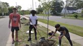 Help West Michigan cities plant trees to celebrate Arbor Day