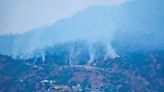 La Jornada: Cobran fuerza incendios forestales en Acapulco