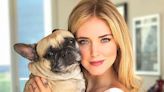 Chiara Ferragni da el último adiós a su perrita Matilda, la artífice de su historia de amor con Fedez