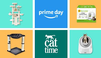 Amazon Prime Day 2024: Your Cat is Expecting the Goods and You Know It