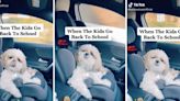 Dog hilariously vibes in car after dropping off kids at school