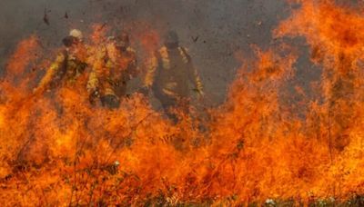 Marina aponta ação humana em incêndios no Pantanal: "Uma das piores situações já vistas" - Congresso em Foco