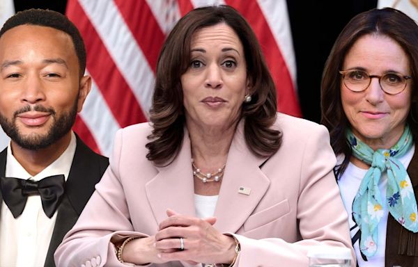 Joe Biden Endorses Kamala Harris for 2024 Election: John Legend, Julia Louis-Dreyfus and More React