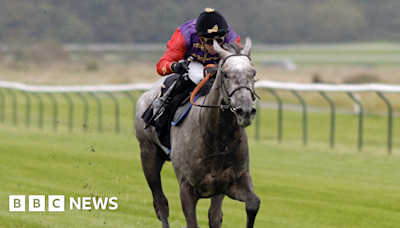 Epsom Downs: Late Queen's horse to race