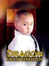 Dragon from Shaolin