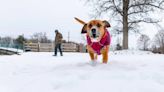 Boise saw more snow in one March day than all of February. More winter weather is coming