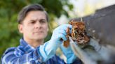 How to Clean Gutters: 5 Effective Ways to Get the Job Done