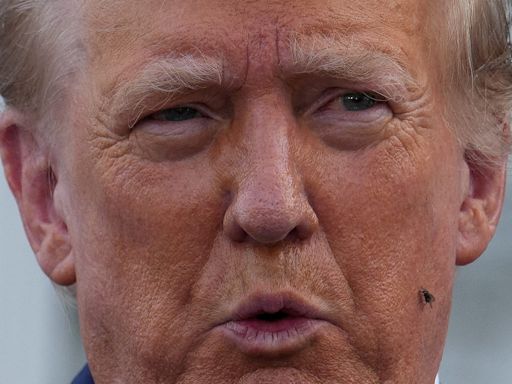 Fly lands on Trump's face during press event, echoing Mike Pence's viral 2020 debate moment