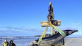 World's rarest whale washes up on New Zealand beach