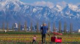 Utah lost 20% of its farmland. Will the state try to protect what’s left?