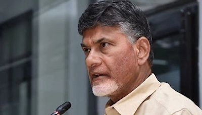 Andhra Pradesh CM Naidu's 100-Day Plan: New Industrial Policies For MSMEs, Textiles, And IT To Attract Investments