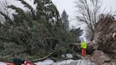 Biden approves Oregon major disaster declaration for arctic blast damage