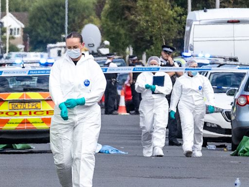 Two children dead and six critical following ‘horror movie’ stabbings