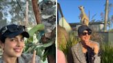 Priyanka Chopra is surprised to know that Koala is named after her, watch this cute video