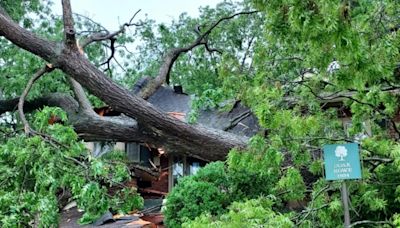 North Alabama storm and tornado damage: Here are photos, video