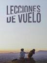 Lecciones de vuelo