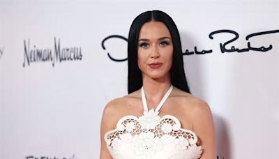 Why 'American Idol' Audience Members Are Upset at Katy Perry's Alleged Behavior