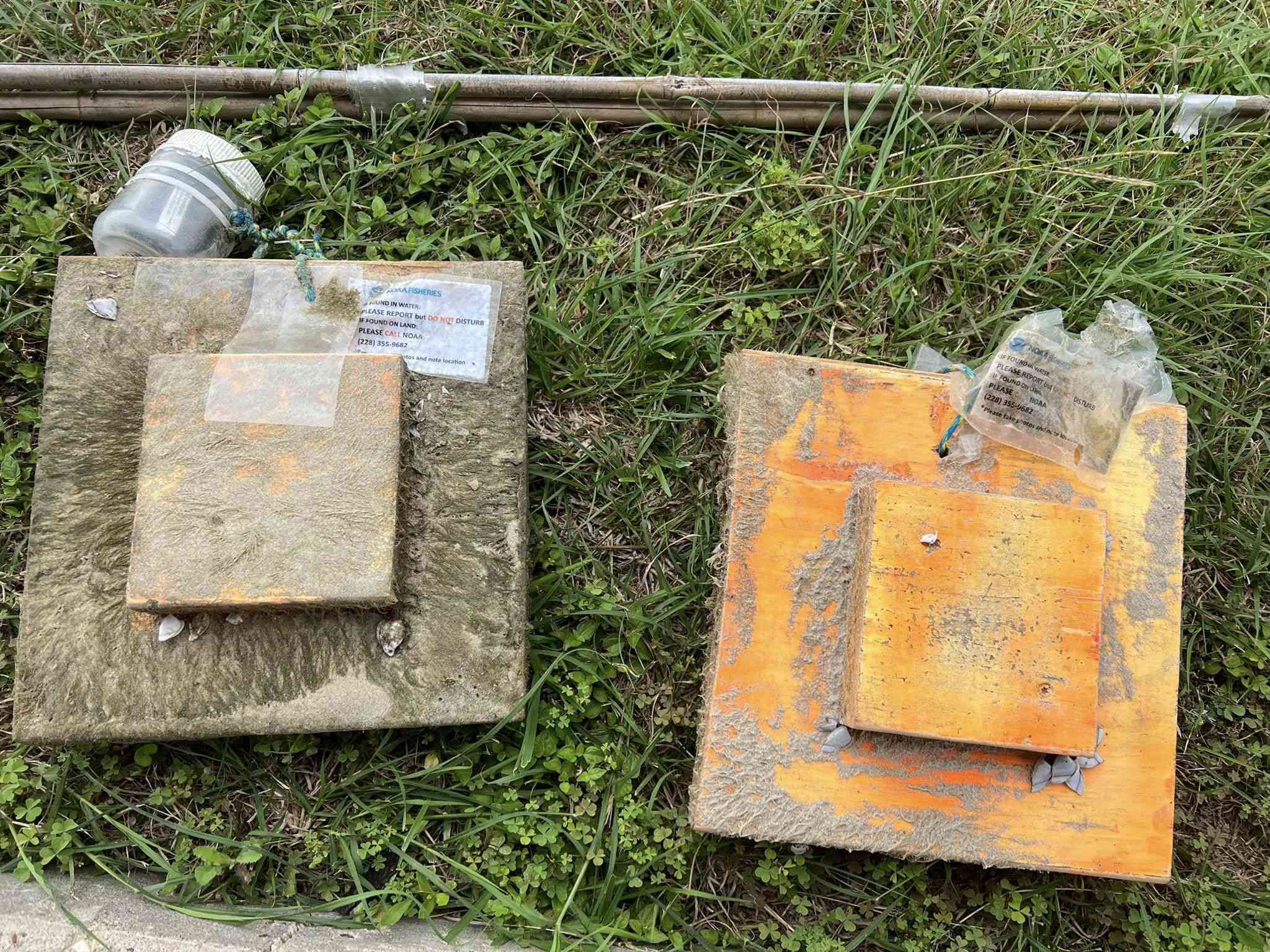 There’s A Good Reason For The Colorful Wooden Blocks Washing Up On Texas Beaches