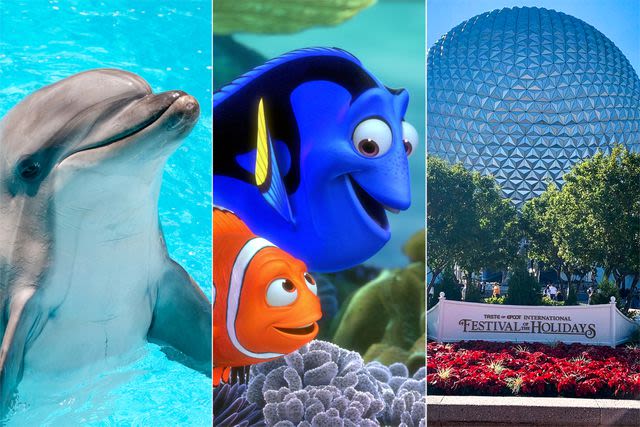 Disney World removing all live dolphins from Epcot's “Finding Nemo” attraction, 'prioritizing the wellbeing' of animals