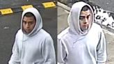 Brooklyn creep groped girl on her way to school: cops