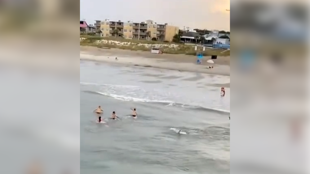 'Move!': Video shows shark swimming close to shore by the Tybee Pier and Pavilion