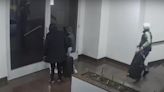 VIDEO. “Al horno” y con la copa rota: la trama oculta del golpe de la viuda negra en La Plata