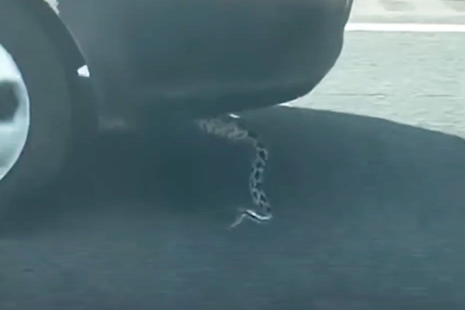 Driver Spots Live Snake Dangling from a Car Speeding Down a Highway in Alabama