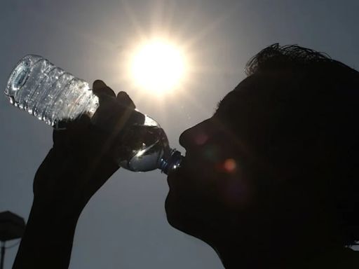 Estos son los alarmantes síntomas de un inminente golpe de calor