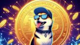 Dogwifhat's Surge on Solana Network Ignites Crypto Market Buzz - EconoTimes