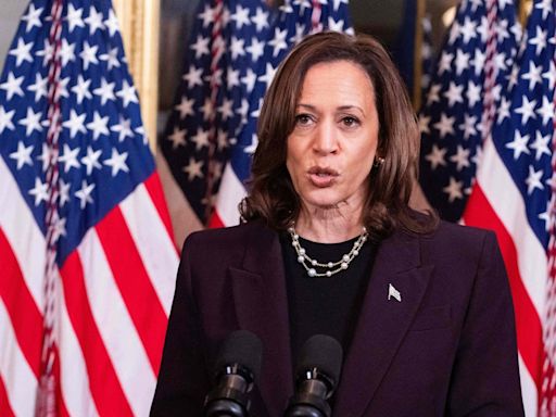 Did Joe Biden make Kamala Harris ‘border czar’ to tackle illegal immigration?