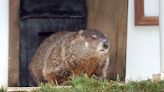 Did the Georgia groundhog see his shadow? General Beauregard Lee declares early spring